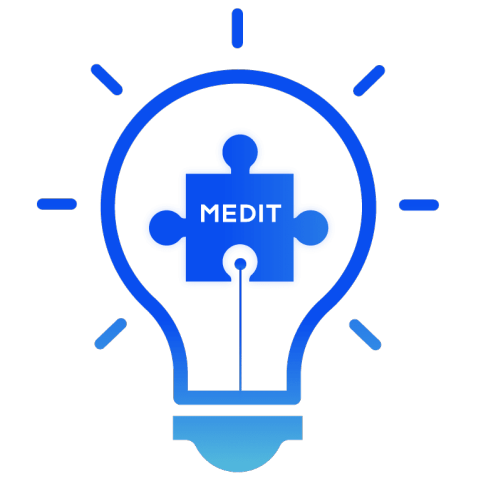 Логотип в виде синей лампочки с фрагментом пазла и словом «Medit» в центре.